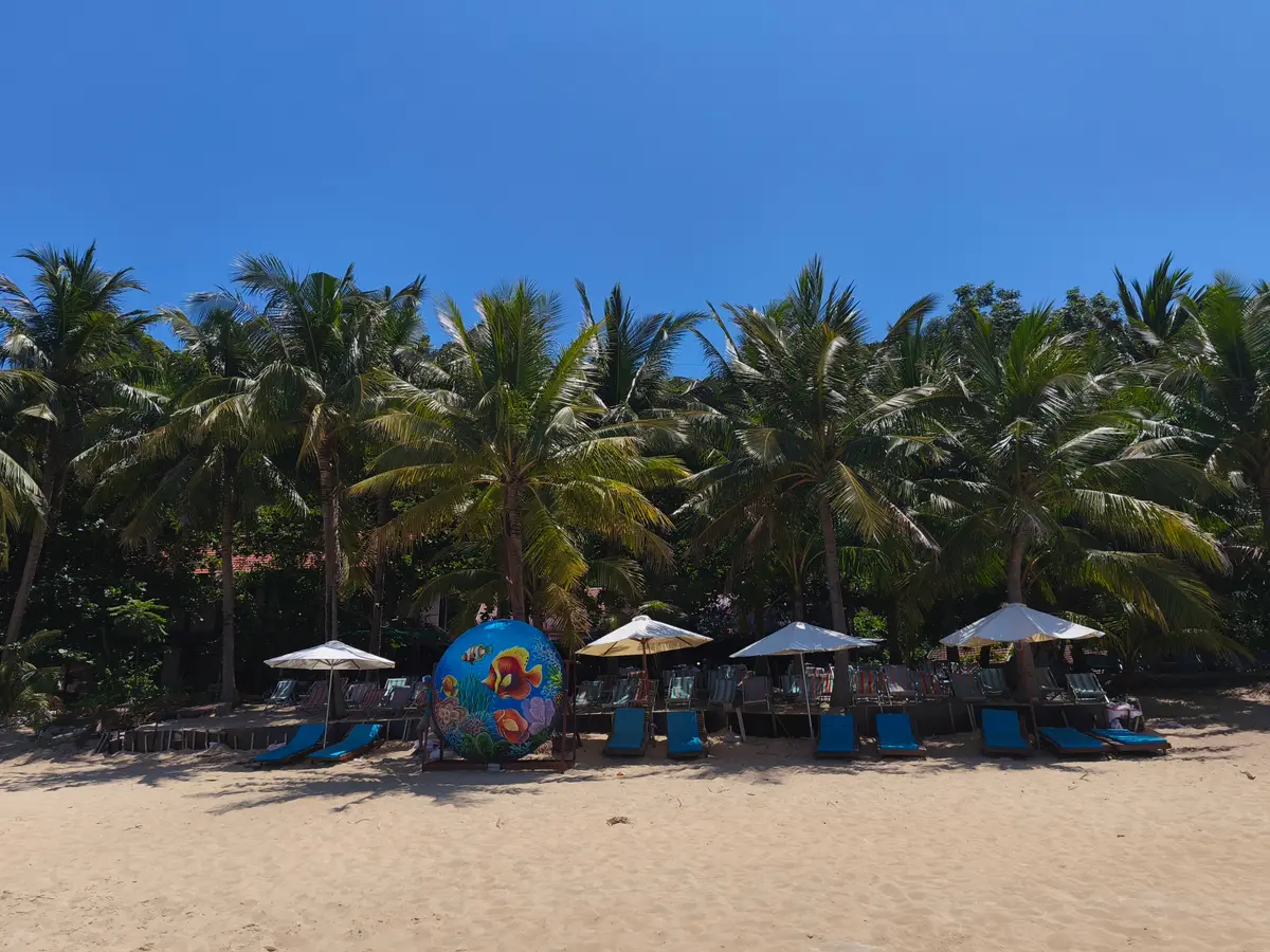 A beach lined with palm trees, with thatched umbrellas and loungers on the sand.