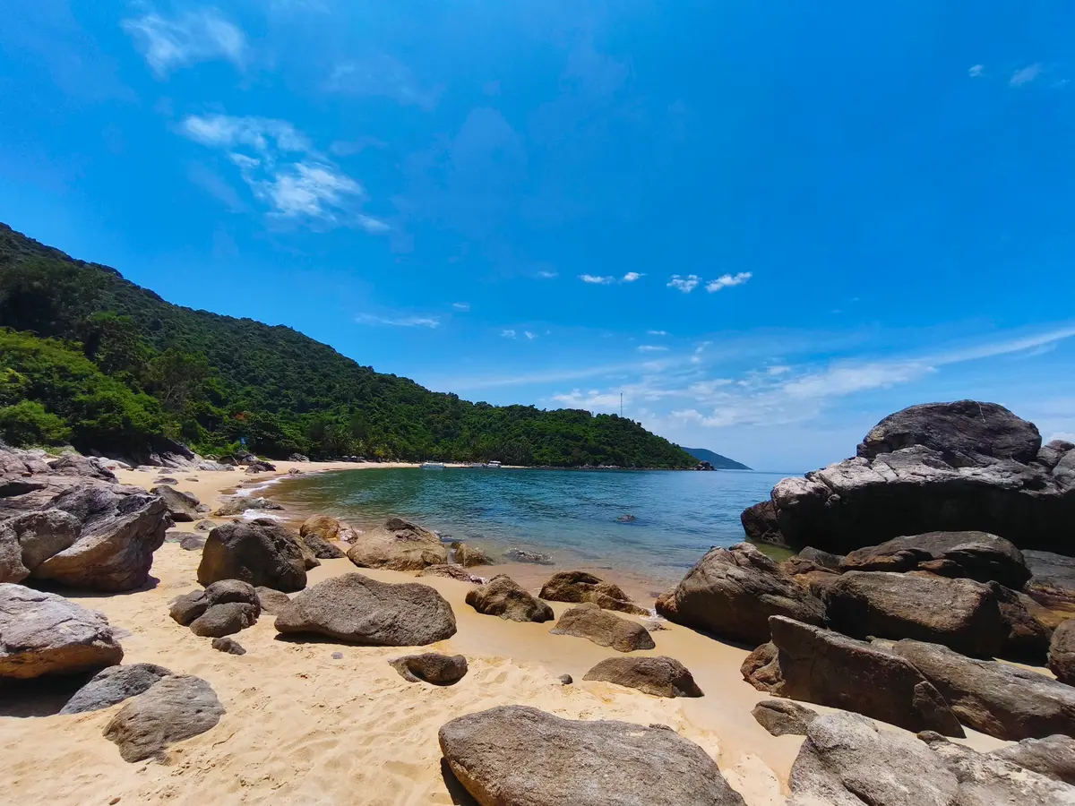 A small cove with rocks scattered on the sand and a forested hill running down to the sea.