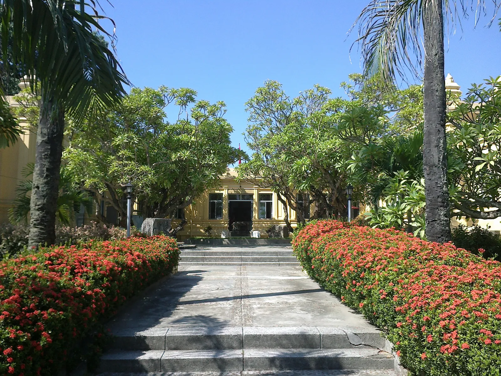 The yellow colonial-era building of the Museum of Cham Sculpture in Da Nang, seen up a stone path lined with red flowering hedges and palm trees.