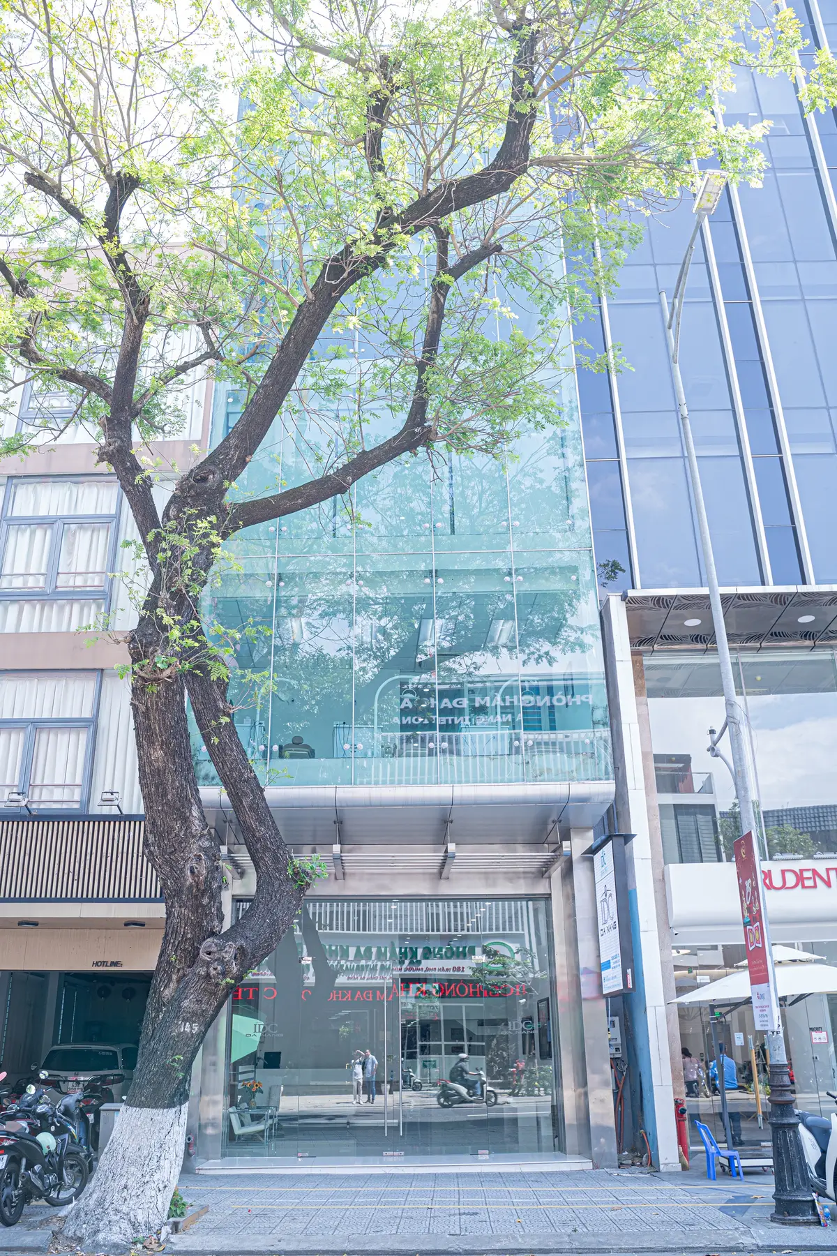歩道から見たIDC Da Nang歯科クリニックのガラス張りの建物。街路樹が一部にかかっています。