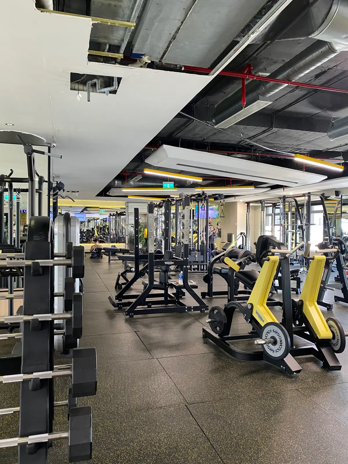 Open gym floor with yellow and black strength machines and free weights