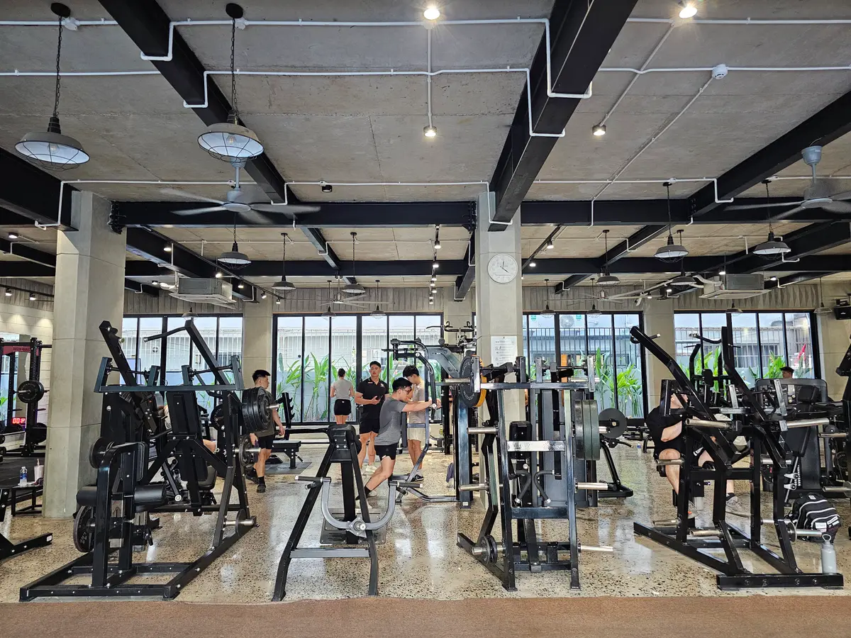 Spacious gym floor with rows of strength machines under a high ceiling and large windows
