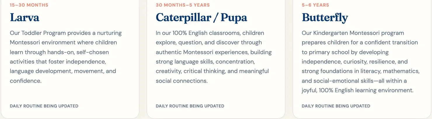 Cocoon Montessori's three class groups: Larva for 15 to 30 months, Caterpillar and Pupa for 30 months to 5 years, and Butterfly for 5 to 6 years, described as 100% English classrooms.