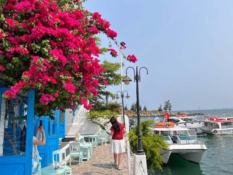 Photo of son tra marina