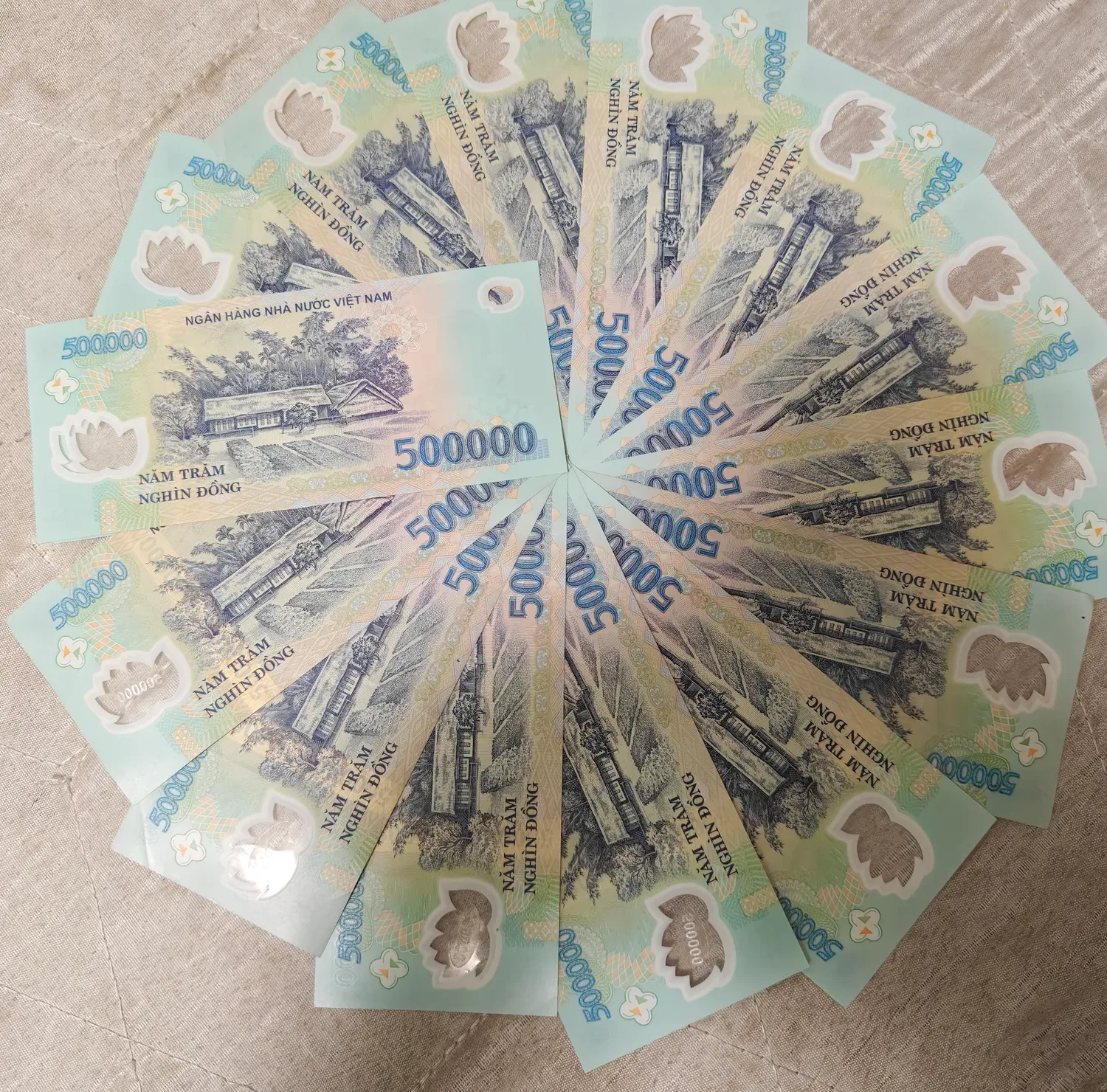 A fan of Vietnamese polymer banknotes laid in a circle on a cloth.