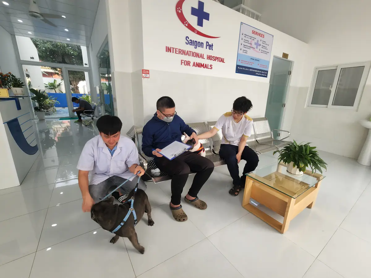 明亮的瓷砖大厅，有金属长椅、红十字标志墙和玻璃入口门。
